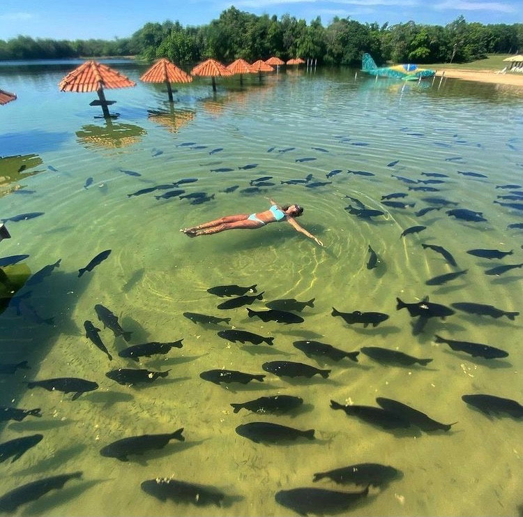 Banhista flutuando entre um grande cardume de tambaquis nas águas cristalinas da Lagoa dos Tambaquis, Paraíso dos Tambaquis em Estância, Sergipe